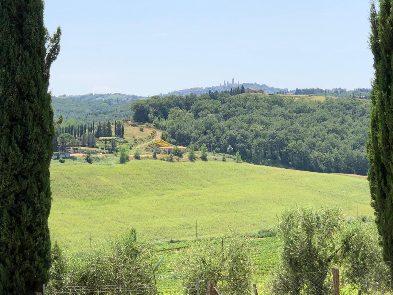 Agriturismo L'Olmo San Gimignano Exterior foto